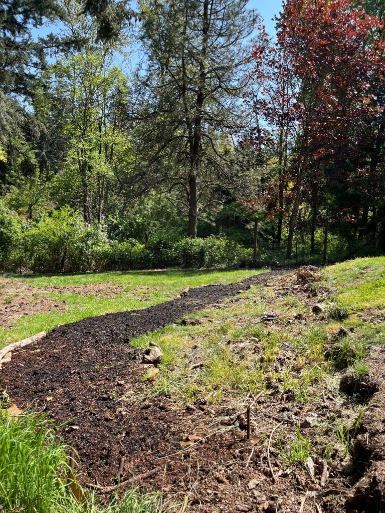 wildflower meadow without any flowers.